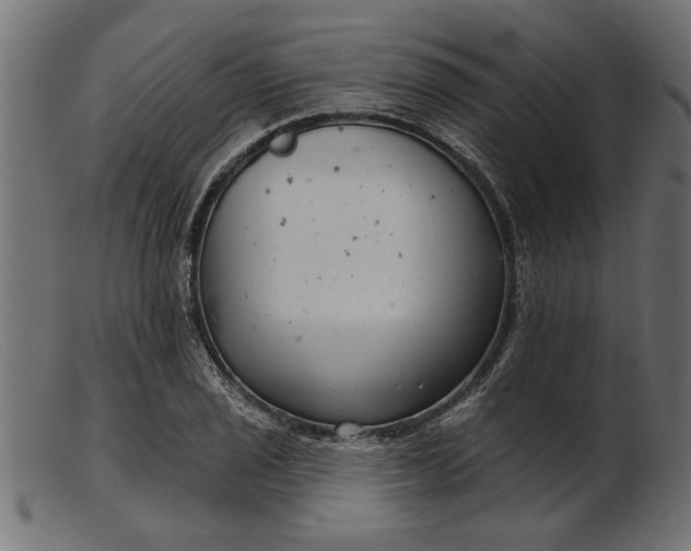 X0000103241029200809111552