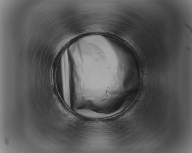 X0000103241030200809111552