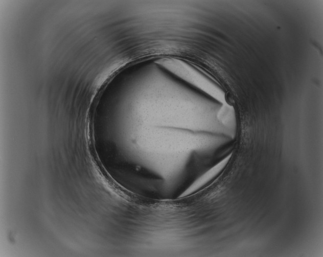 X0000103241034200809111552