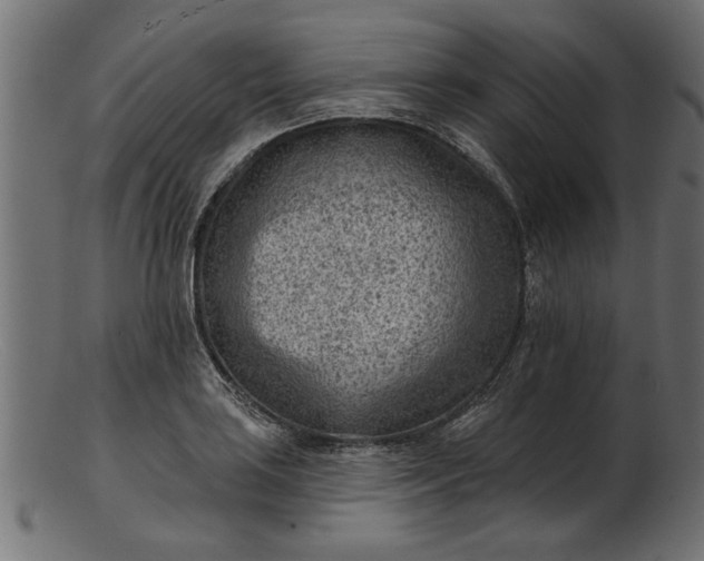 X0000103241035200809111552