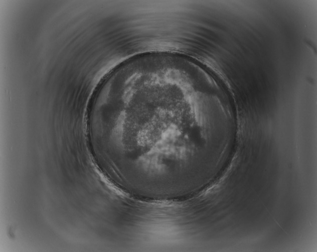 X0000103241037200809111552