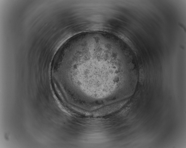 X0000103241039200809111552