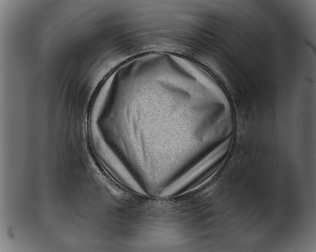 X0000103241040200809111552