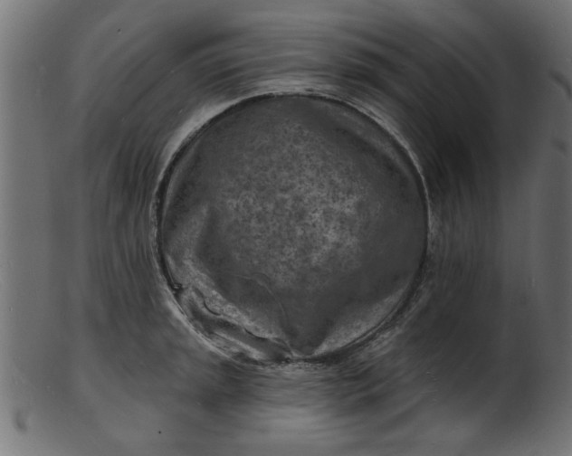 X0000103241045200809111552