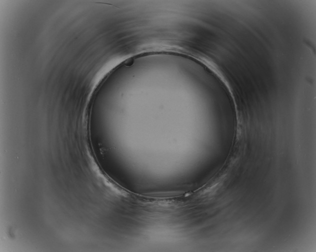 X0000103241053200809111552