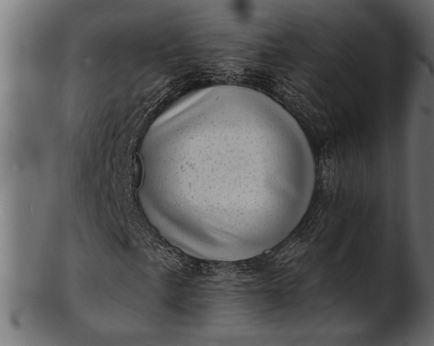 X0000103241057200809111551