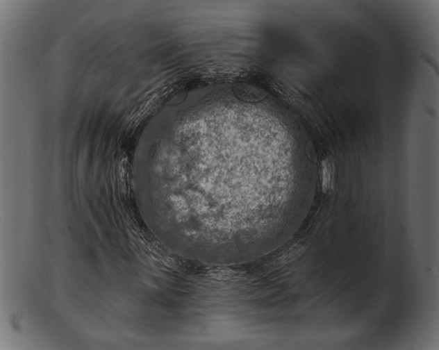 X0000103241059200809111551