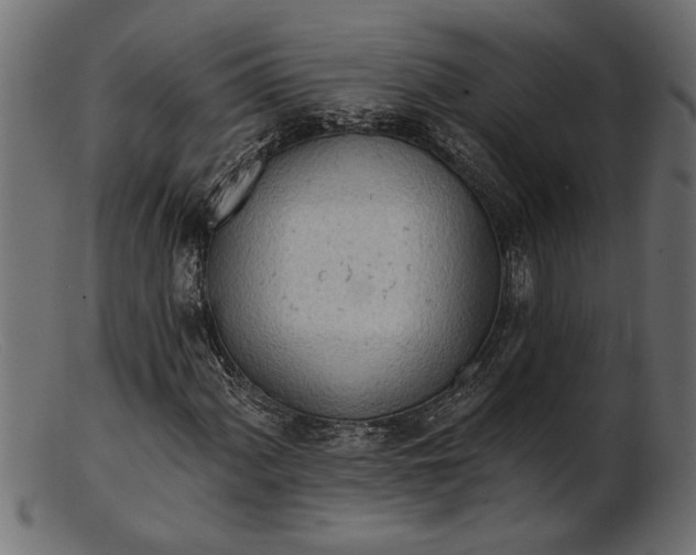 X0000103241060200809111551