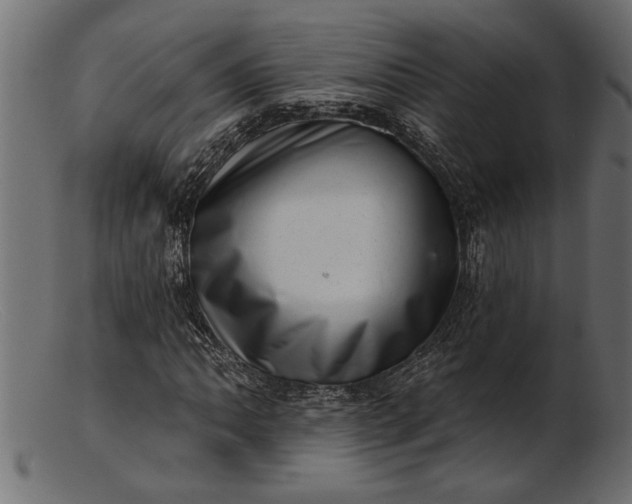 X0000103241062200809111551