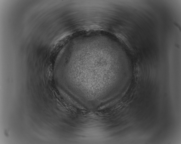 X0000103241063200809111551