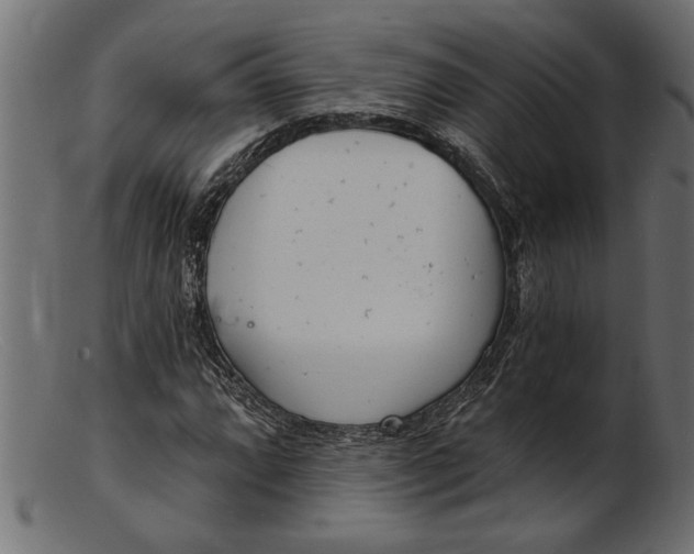 X0000103241064200809111551