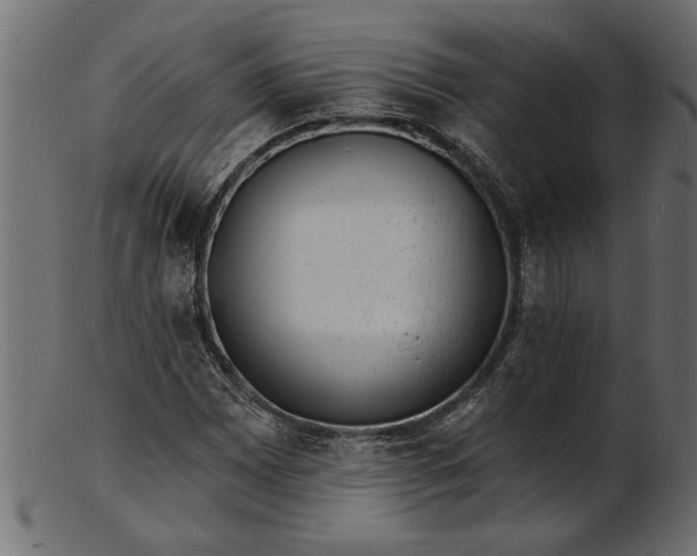 X0000103241065200809111551