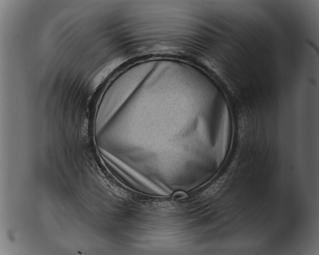 X0000103241066200809111551