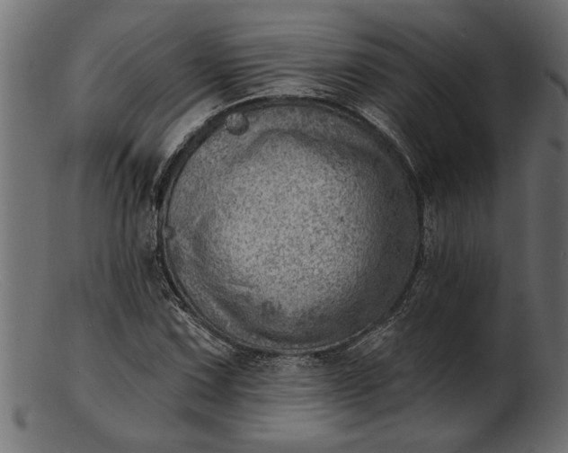 X0000103241067200809111551