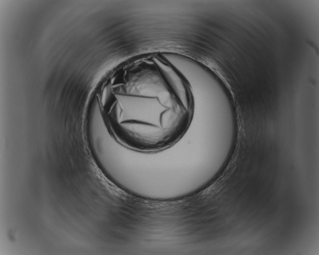 X0000103241072200809111551