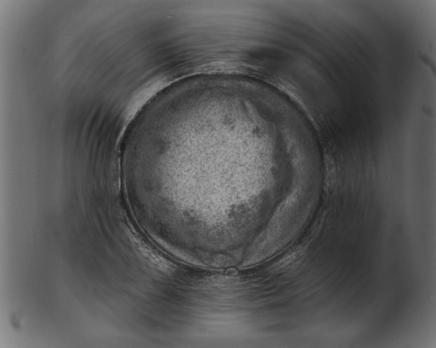 X0000103241075200809111551