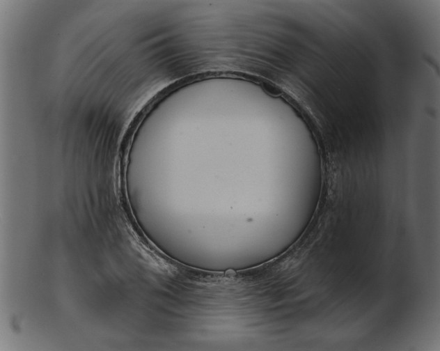 X0000103241076200809111551