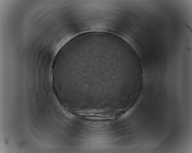 X0000103241077200809111551