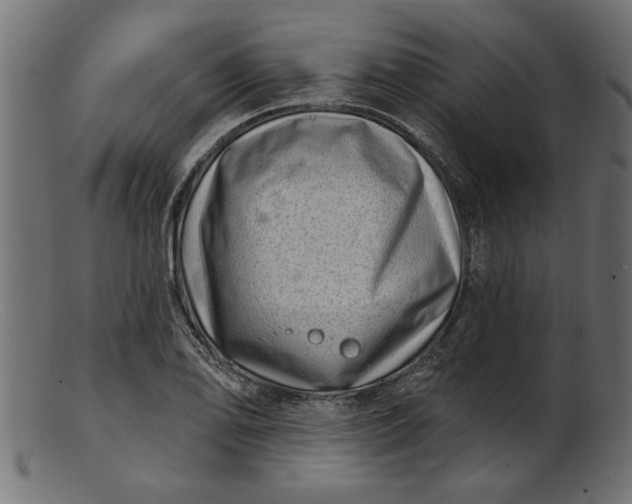 X0000103241078200809111551