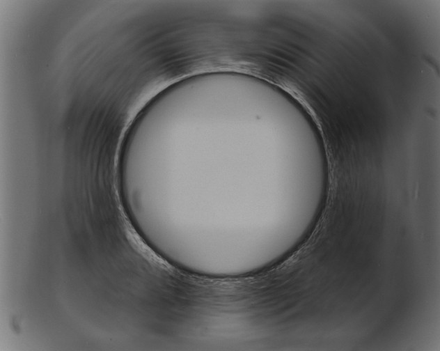 X0000103241080200809111551