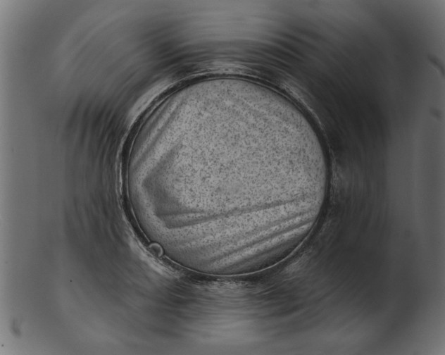 X0000103241082200809111551