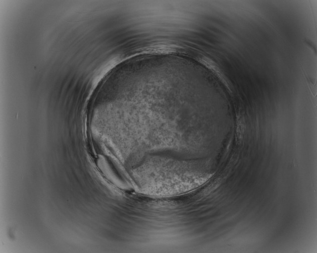 X0000103241083200809111551