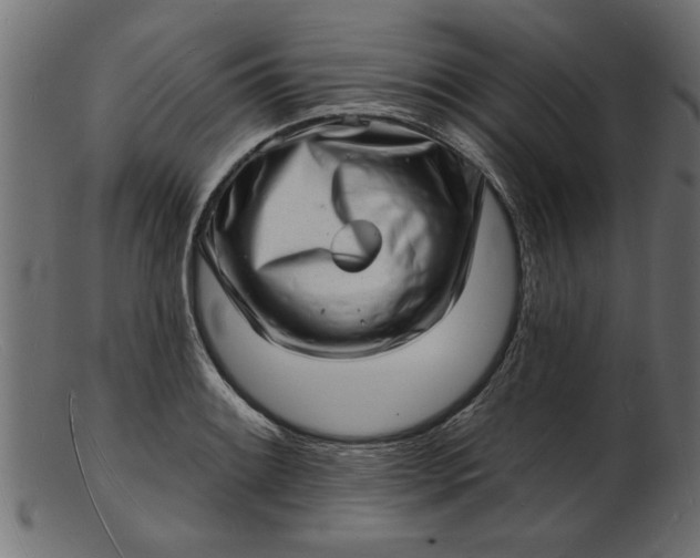 X0000103241084200809111551