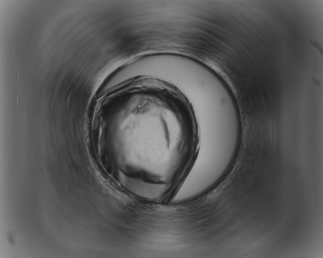 X0000103241085200809111551