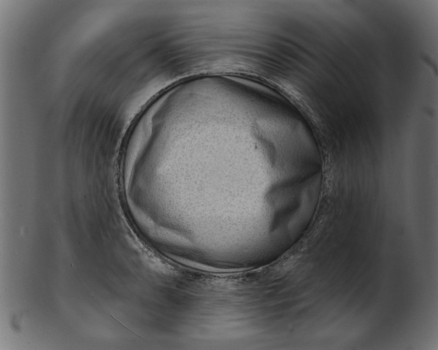 X0000103241086200809111551