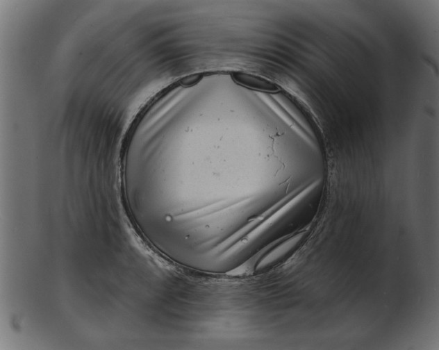 X0000103241088200809111551