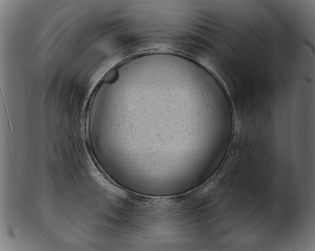 X0000103241090200809111551