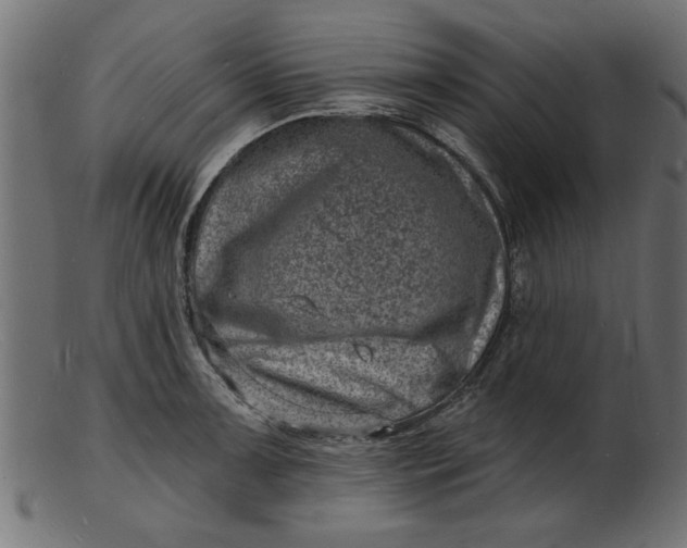 X0000103241091200809111551