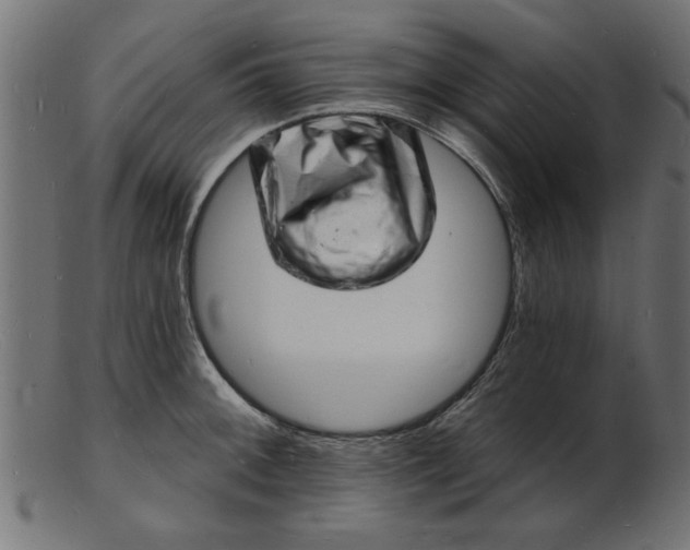 X0000103241092200809111551