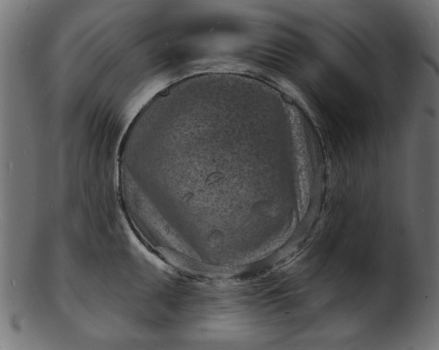 X0000103241095200809111551