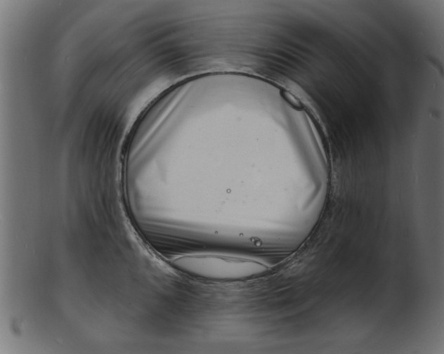 X0000103241096200809111551