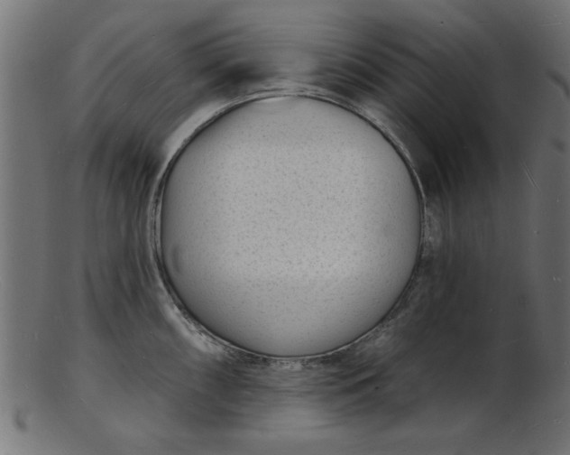 X0000103241098200809111551