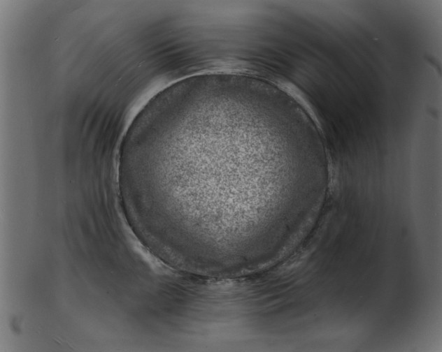 X0000103241099200809111551