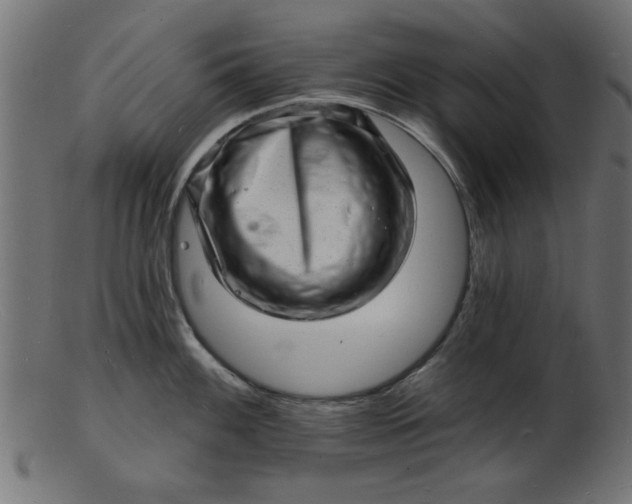 X0000103241100200809111551