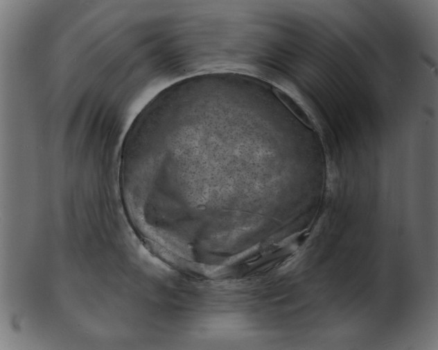 X0000103241102200809111551