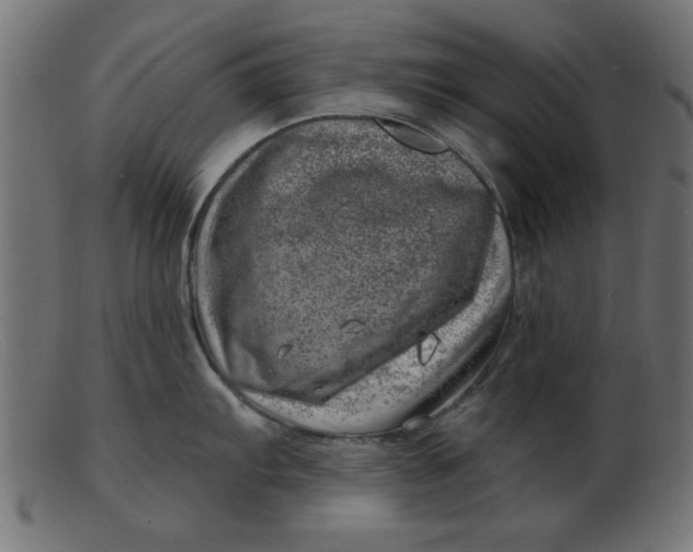 X0000103241103200809111551