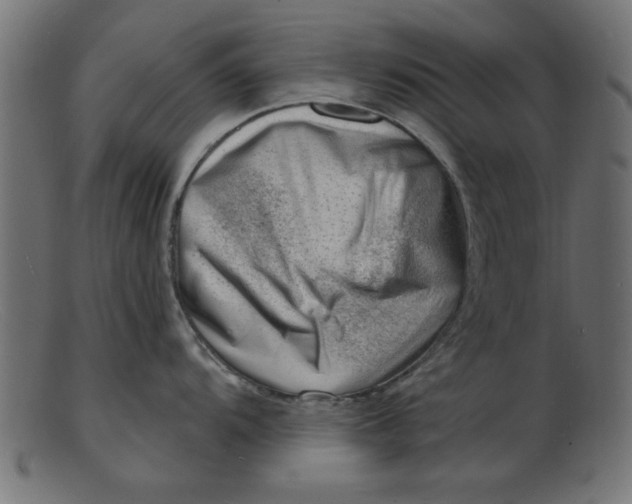 X0000103241104200809111551