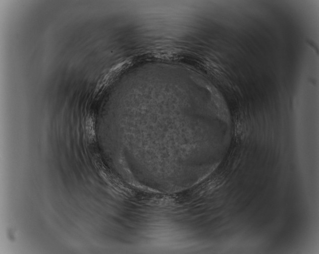 X0000103241106200809111550