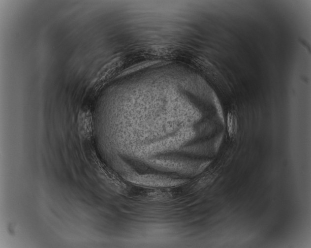 X0000103241107200809111550