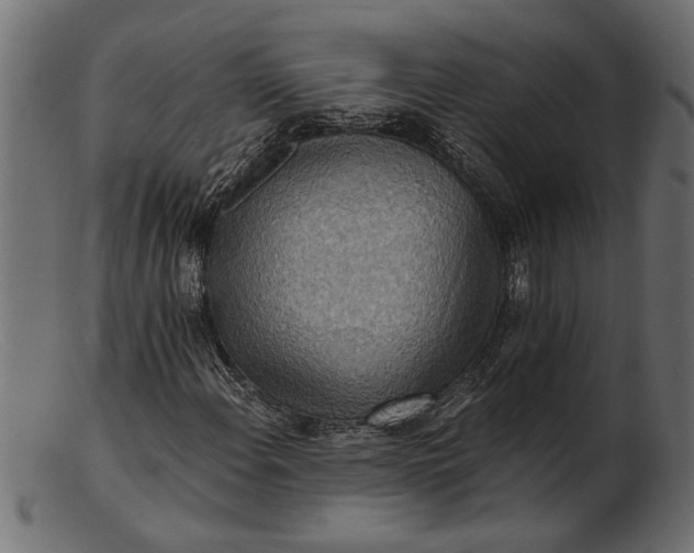 X0000103241108200809111550