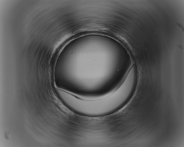 X0000103241114200809111550