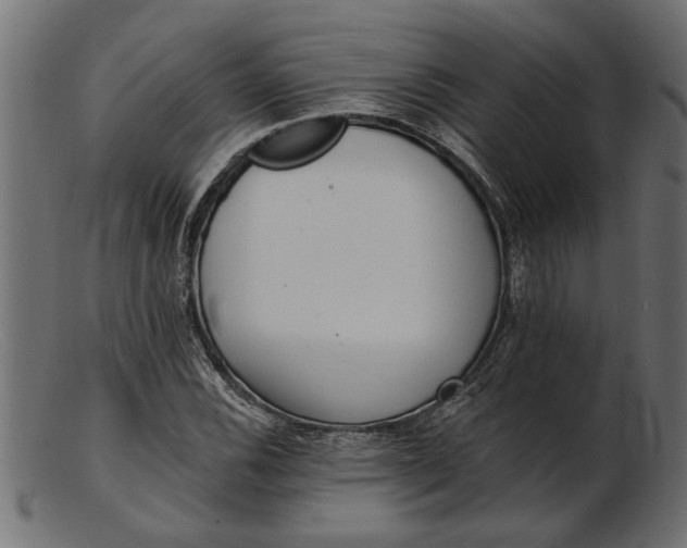 X0000103241116200809111550