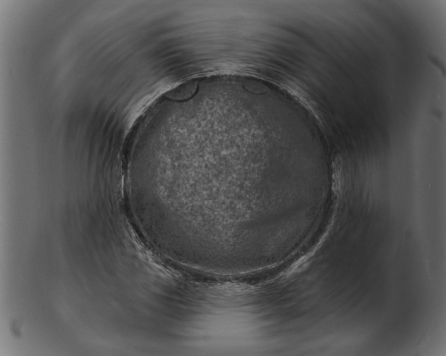 X0000103241117200809111550