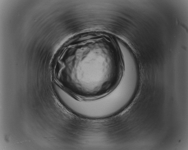 X0000103241118200809111550