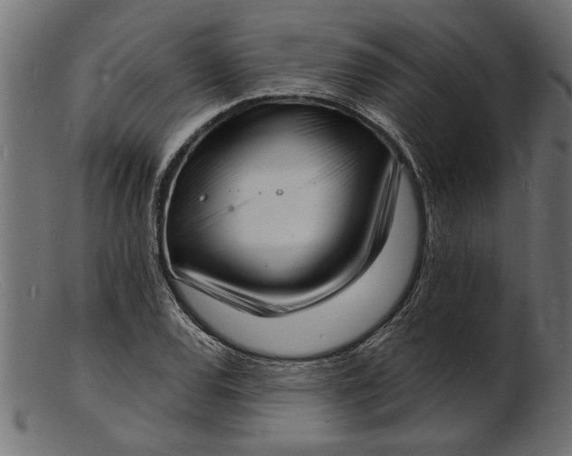 X0000103241120200809111550