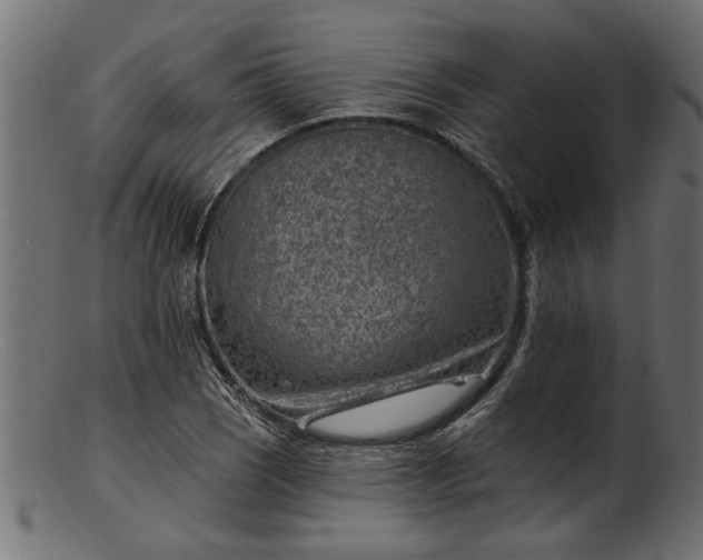 X0000103241121200809111550